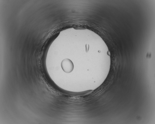 X0000110710708200907101244