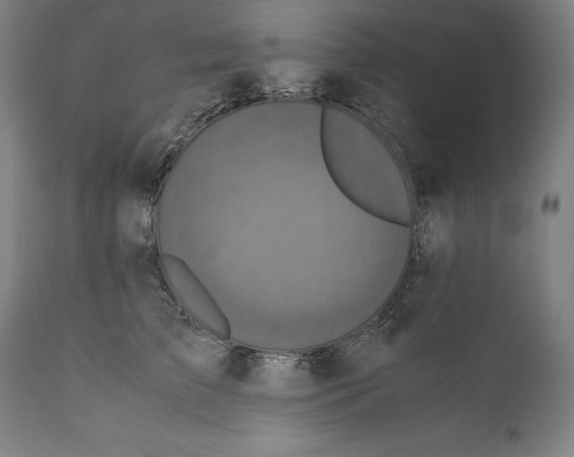 X0000110710709200907101244