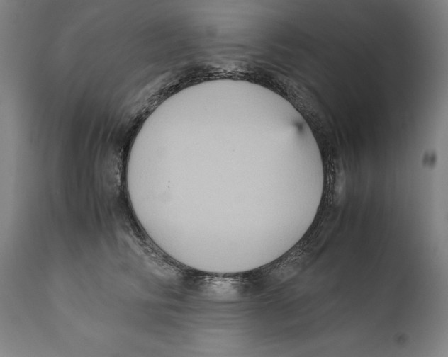 X0000110710710200907101244
