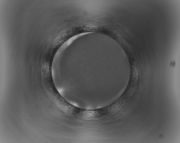 X0000110710711200907101244