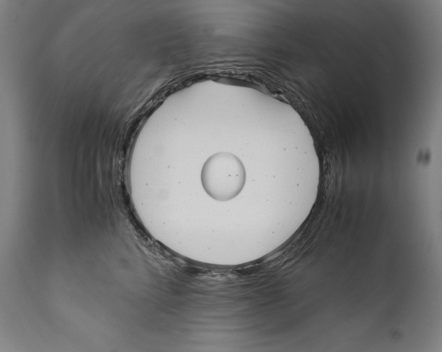 X0000110710712200907101244