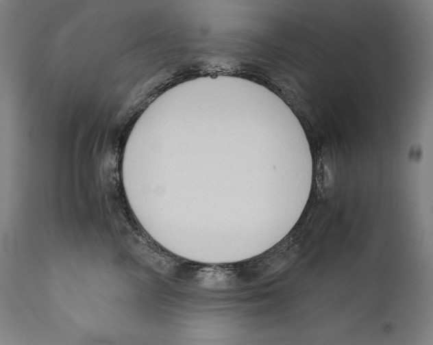 X0000110710714200907101244