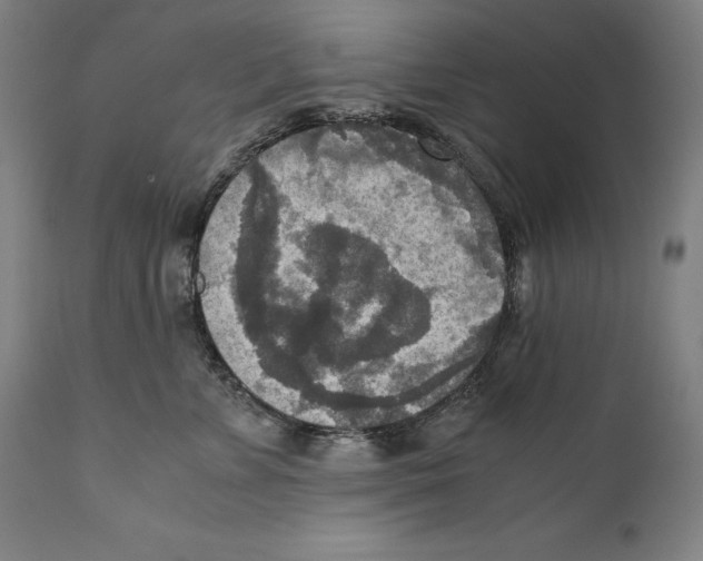 X0000110710715200907101244