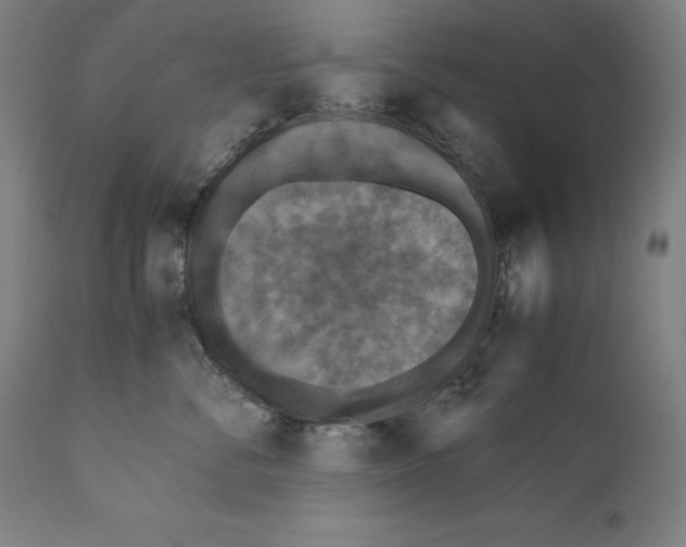 X0000110710716200907101244