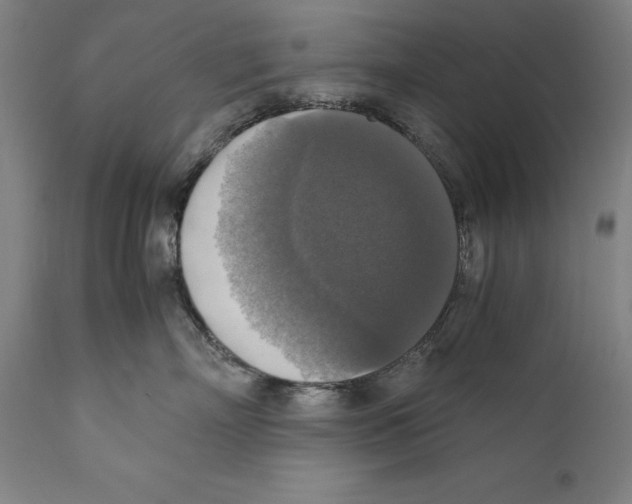 X0000110710718200907101244