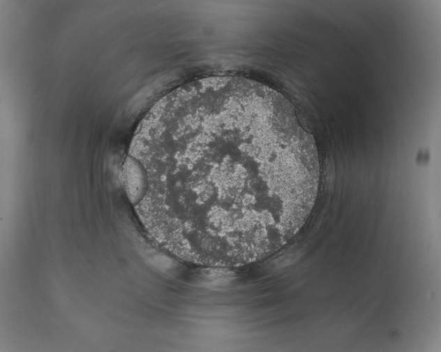 X0000110710719200907101244