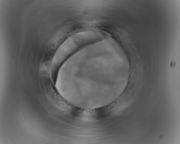 X0000110710720200907101244