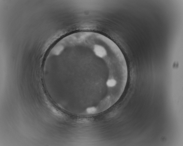 X0000110710721200907101243