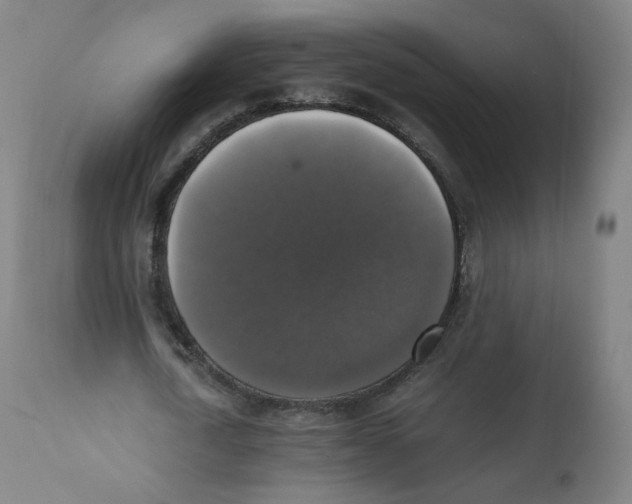 X0000110710722200907101243