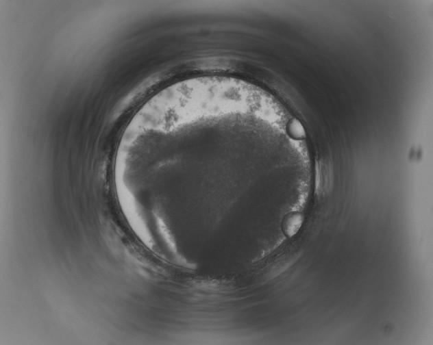 X0000110710723200907101243