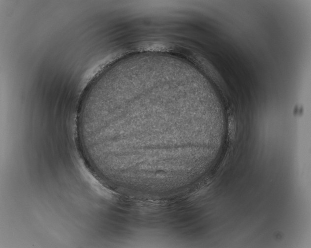 X0000110710725200907101243