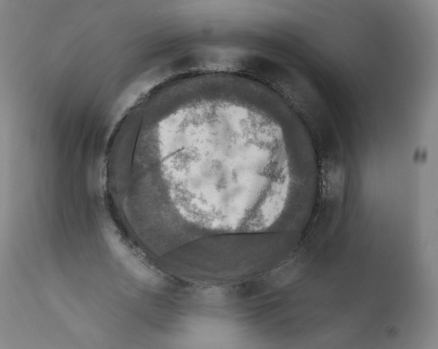 X0000110710726200907101243