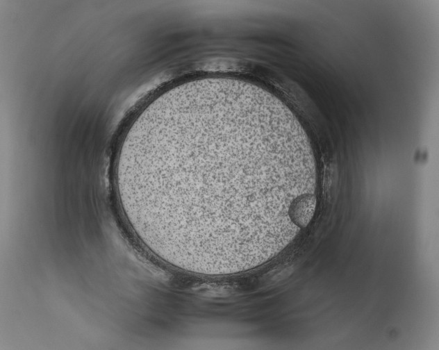 X0000110710727200907101243