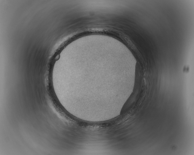 X0000110710728200907101243