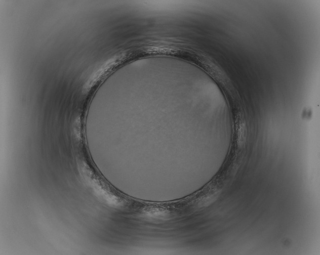 X0000110710729200907101243