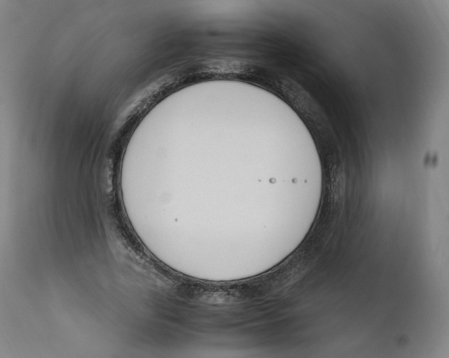 X0000110710731200907101243