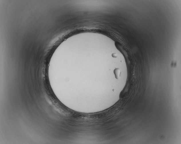 X0000110710732200907101243
