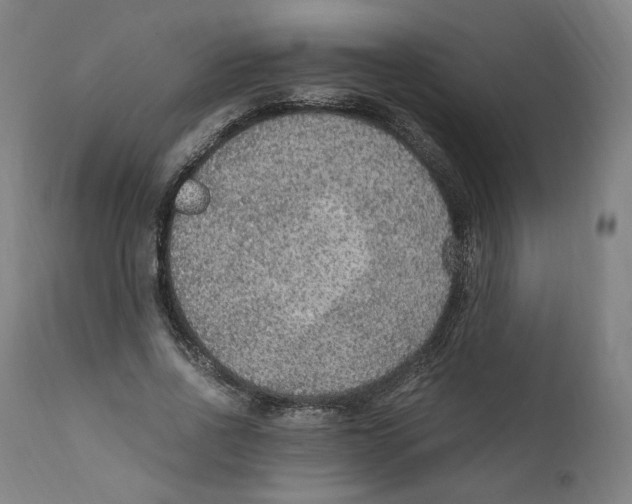 X0000110710734200907101243