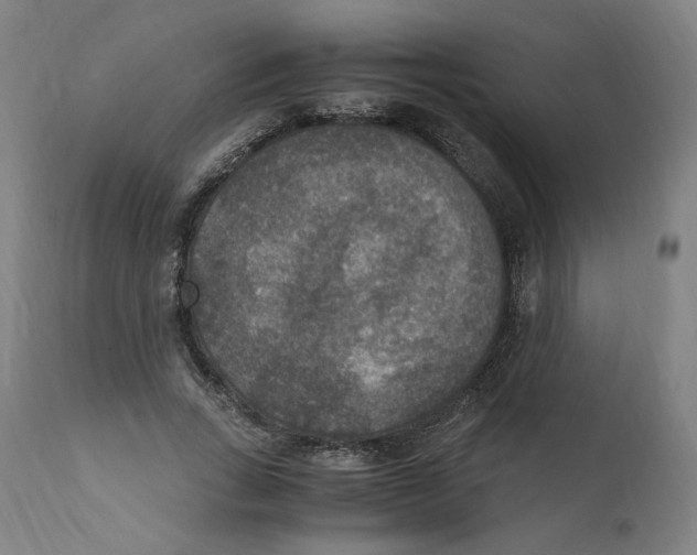 X0000110710735200907101243
