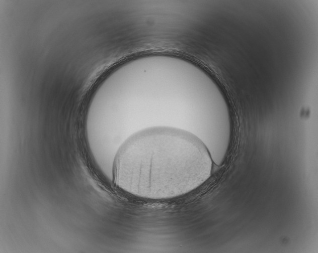 X0000110710736200907101243