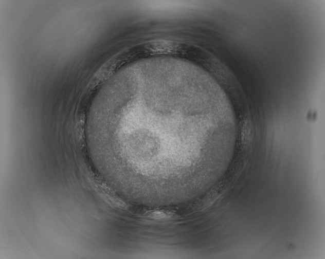 X0000110710737200907101243