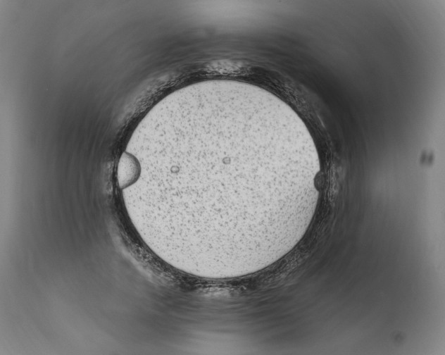X0000110710738200907101243