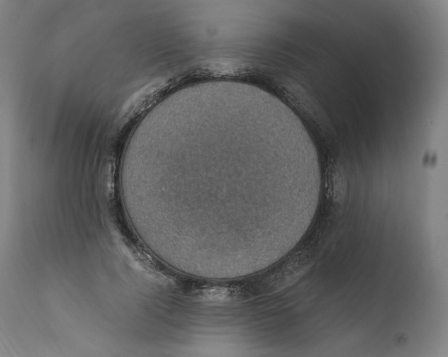 X0000110710740200907101243