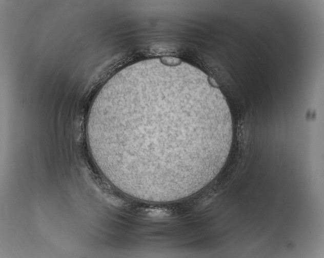 X0000110710741200907101243