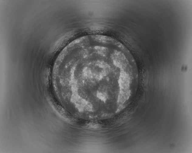 X0000110710742200907101243