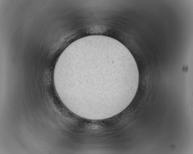 X0000110710743200907101243