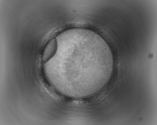 X0000110710744200907101243