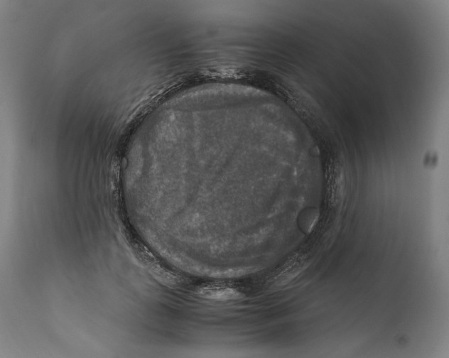 X0000110710747200907101243