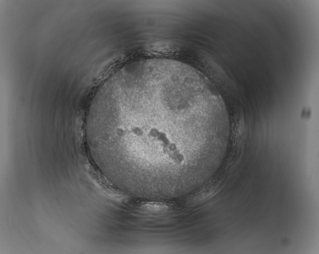X0000110710749200907101244