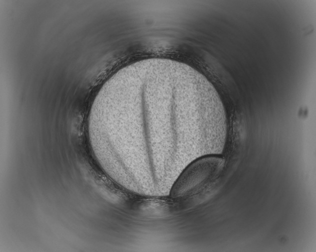 X0000110710750200907101244