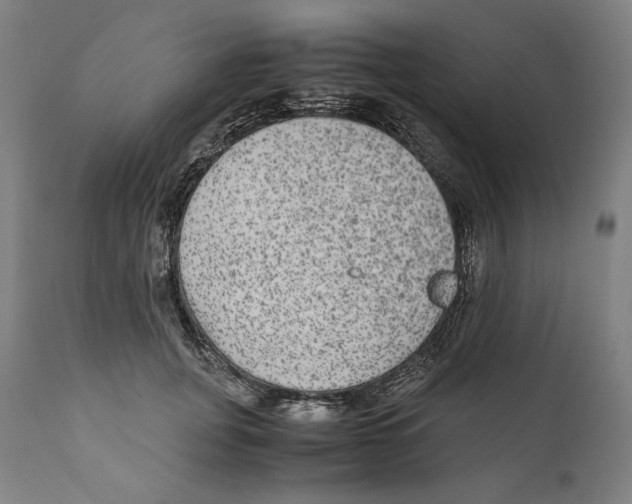 X0000110710751200907101244