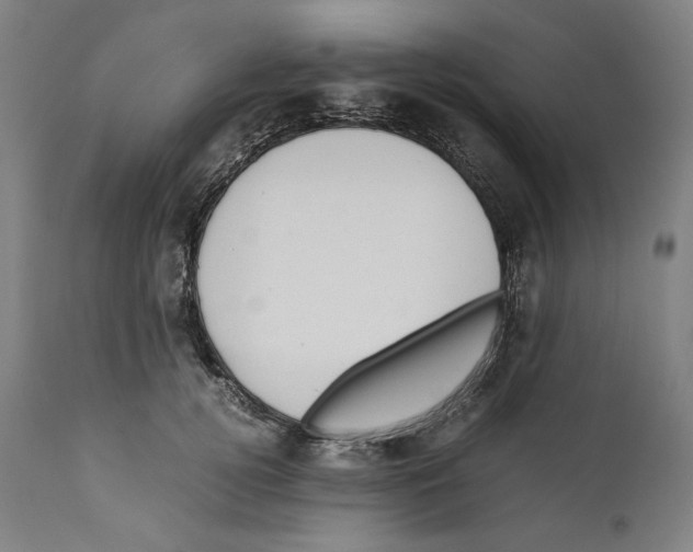 X0000110710752200907101244