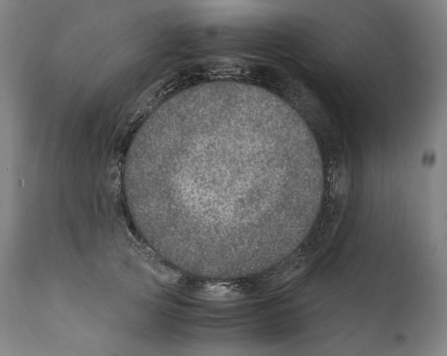 X0000110710753200907101244
