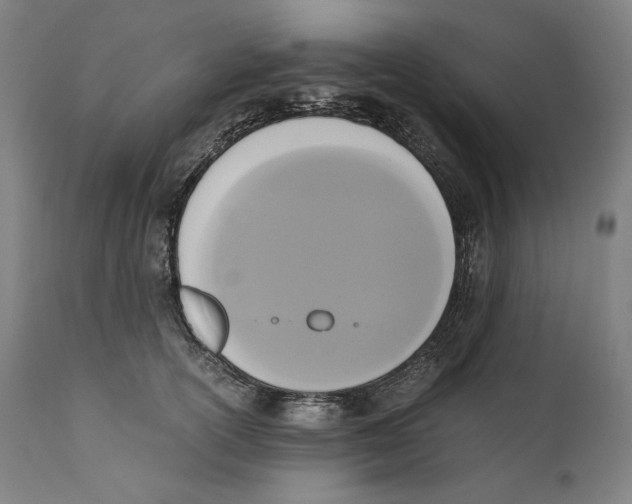 X0000110710754200907101244
