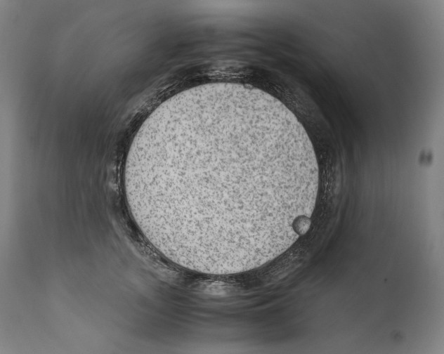 X0000110710755200907101244