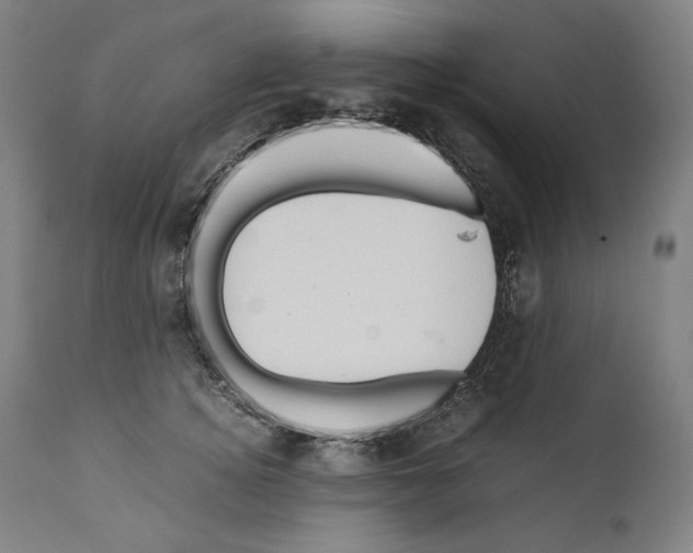 X0000110710756200907101244