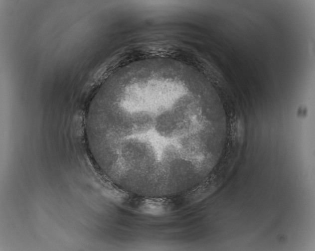 X0000110710757200907101244