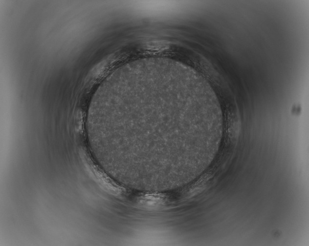 X0000110710758200907101244