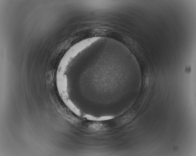 X0000110710759200907101244