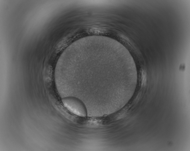 X0000110710760200907101244