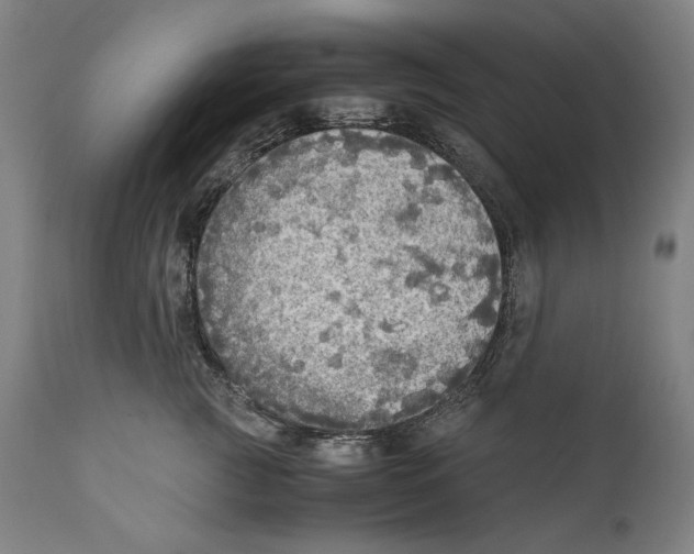 X0000110710761200907101244