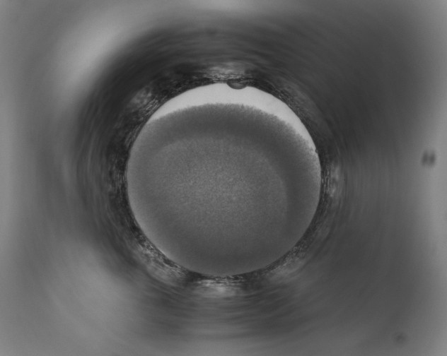 X0000110710763200907101244