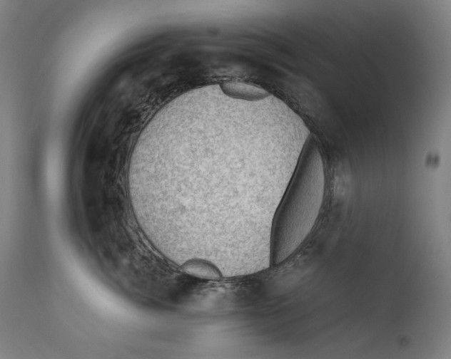 X0000110710764200907101244