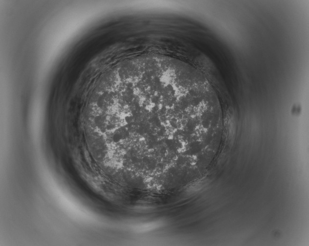 X0000110710765200907101244