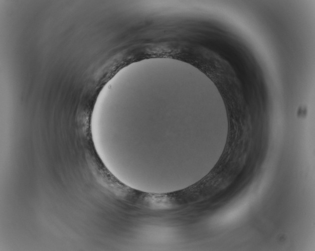 X0000110710767200907101244