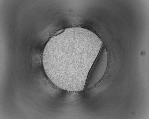 X0000110710768200907101244
